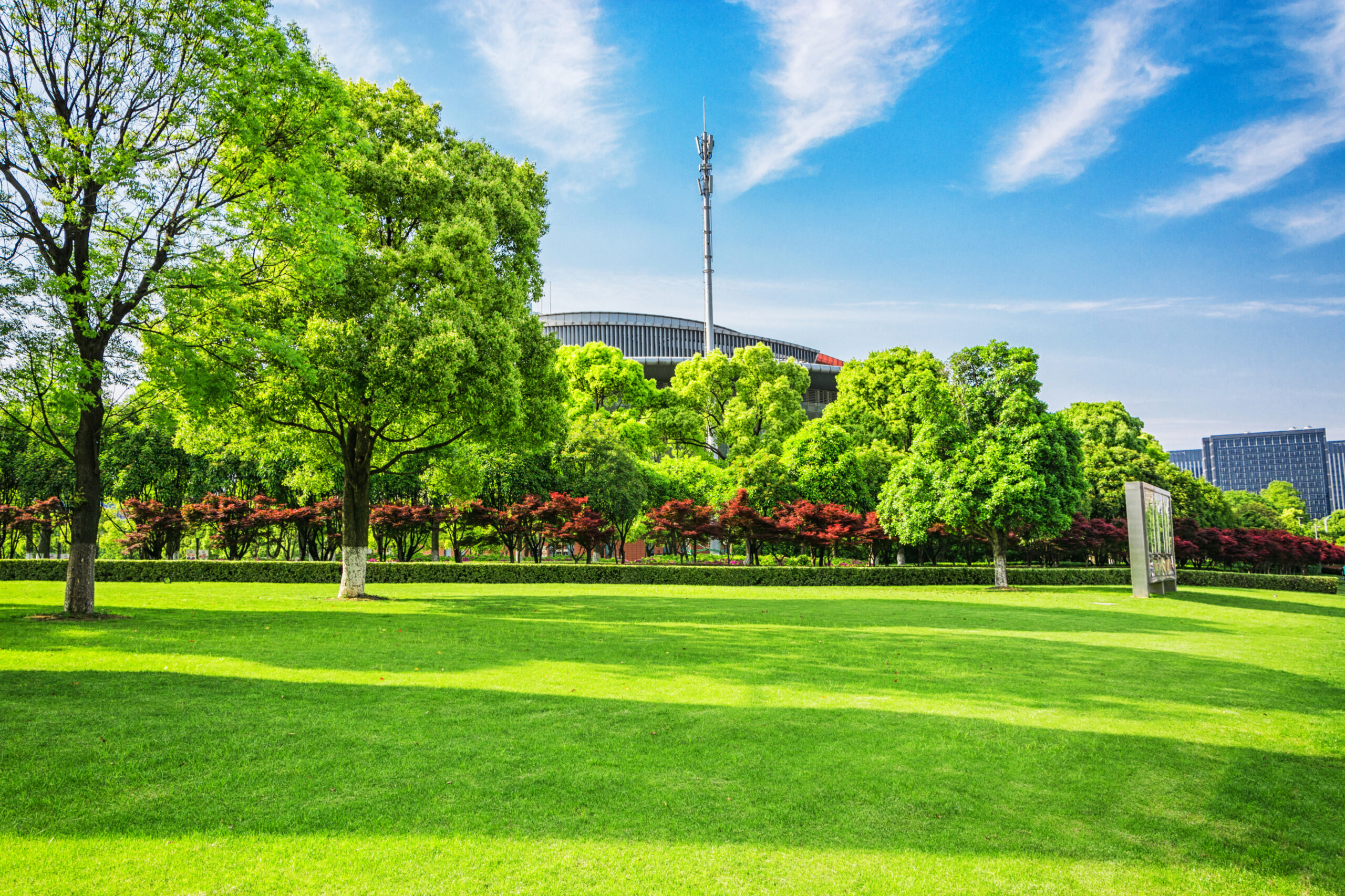 Landscape Maintenance