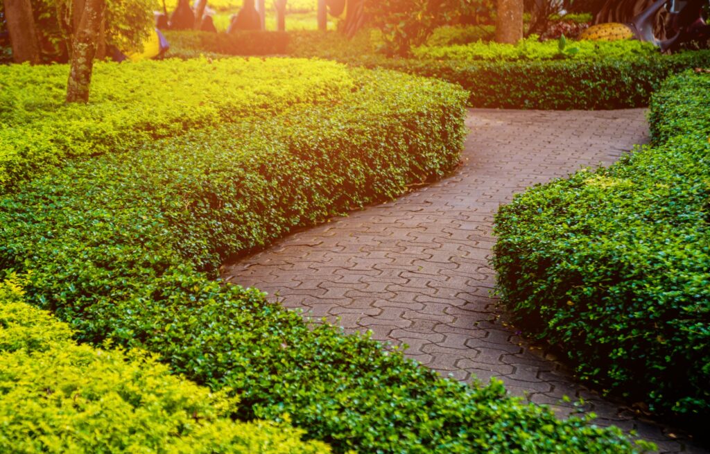 Eco-Friendly Commercial Landscape Design and Construction