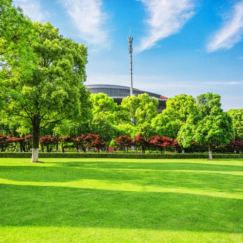 Landscape Maintenance